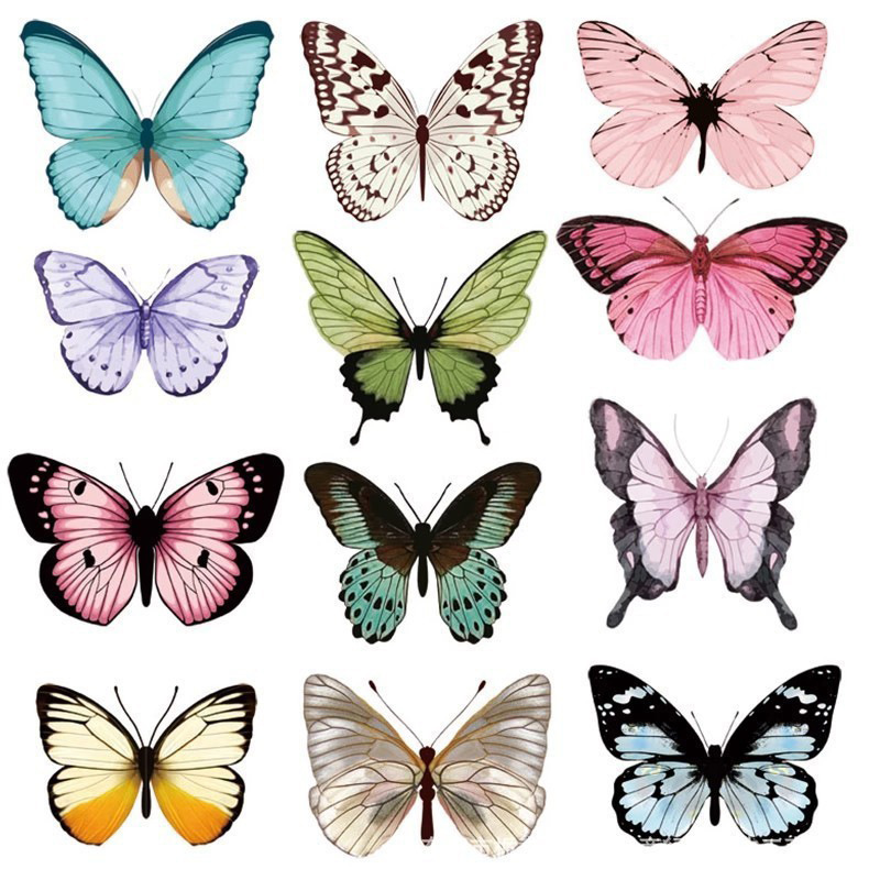 12 stks 3D Vlinder Muursticker - Art Craft Earth Day recensie en prijs